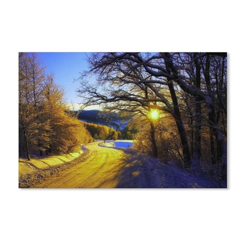 Puzzle 1000 Teile für Erwachsene，Wintermorgen, Schnee, Bäume, Straße，Puzzle Teenager Jungen Mädchen Puzzle for Teen Lernspiel Holiday Challenging Puzzle（75x50cm）-A271 von dcobs