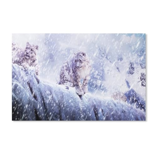 Schneeleopard，Puzzle 1000 Teile Karton Puzzle Erwachsene Kinder Lernspielzeug Familie Dekompressionsspiel（50x70cm）-A210 von dcobs