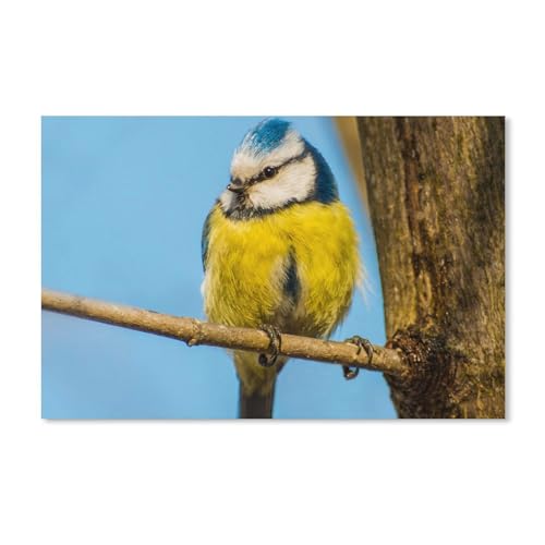 Vogel gelb Blauer Federzweigstamm，Puzzles, 1000-teiliges Puzzle Für Erwachsene Und Kinder Ab 10 Jahren（75x50cm）-A353 von dcobs