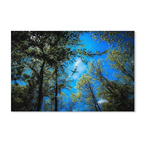 Waldbäume, Blauer Himmel, Flugzeug fliegt über den Wald，Puzzle 1000 Teile Papier Puzzle Erwachsene Kinder Lernspielzeug Familie Dekompressionsspiel（50x70cm）-137 von dcobs