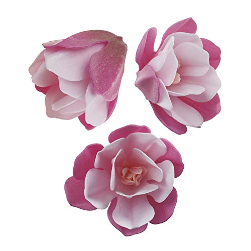 Dekora - Magnolie Tortendeko Essbar | 6 Essbare Blumen für Torte aus Oblate - 6,5-7 cm von dekora