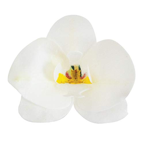 Dekora - Esspapier Tortendeko Weiße Orchidee - Essbare Blumen für Torte oder Cupcake von dekora