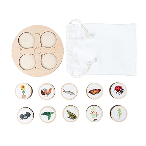 Lebenszyklus-Tablett für Kinder | Holzpuzzle mit fünf Raster als frühzeitige Bildung für Kinder im Vorschulalter von 3 4 5 6 Delr Lebenszyklus-Tablett für Kinder | Holzpuzzle mit fünf Raster als frühzeitige Bildung für Kinder im Vorschulalter von 3 4 5 6 Delr von delr