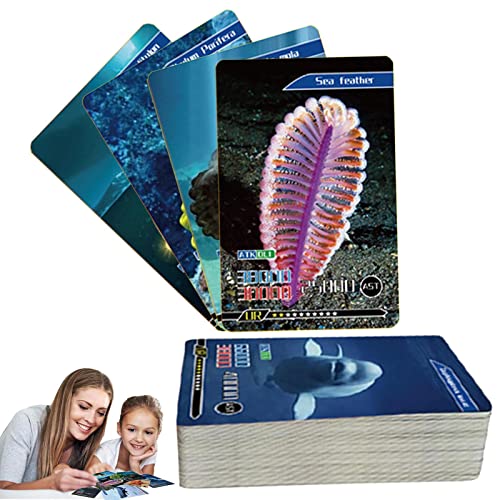 delr 10 -Flash-Karten | Tier-Flash-Karten 55 Stück, Kartenspiele zum Englischlernen mit Bildern für Kinder im Vorschulalter Angenehme Option für Kinder delr 10 -Flash-Karten | Tier-Flash-Karten 55 Stück, Kartenspiele zum Englischlernen mit Bildern für Kinder im Vorschulalter Angenehme Option für Kinder von delr