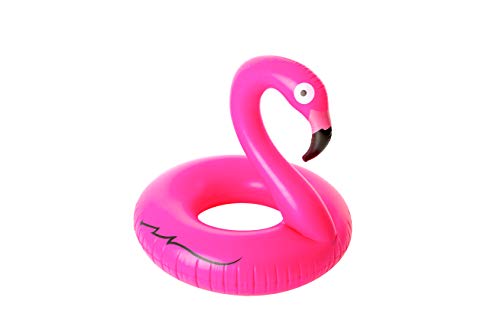 Didak Pool 15501214KID Schwimmreifen, Rose, 110 cm Didak Pool 15501214KID Schwimmreifen, Rose, 110 cm von Didak Pool