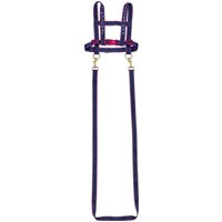 DIE SPIEGELBURG 13813 Pferdeleine Pferdefreunde DIE SPIEGELBURG 13813 Pferdeleine Pferdefreunde von die spiegelburg