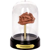 DIE SPIEGELBURG 18697 Ausgrabungsset Dinosaurier-Schädel - T-Rex World, sortiert DIE SPIEGELBURG 18697 Ausgrabungsset Dinosaurier-Schädel - T-Rex World, sortiert von die spiegelburg