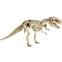DIE SPIEGELBURG 18857 Ausgrabungs- & Gips-Set T-Rex - T-Rex World DIE SPIEGELBURG 18857 Ausgrabungs- & Gips-Set T-Rex - T-Rex World von die spiegelburg