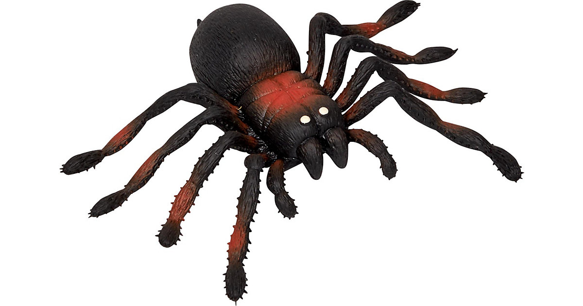 Kellerspinne - Wild+Cool bunt von die spiegelburg