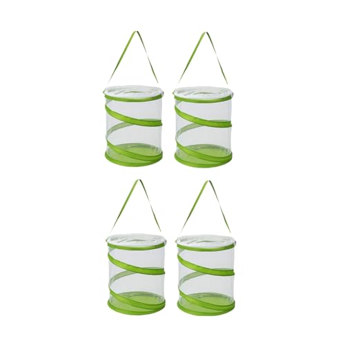 dissot -Up Käfig für Insekten und Schmetterlinge, Terrarium, transparentes Gehäuse, transparent, einfacher, einfach zu bedienen dissot -Up Käfig für Insekten und Schmetterlinge, Terrarium, transparentes Gehäuse, transparent, einfacher, einfach zu bedienen von dissot