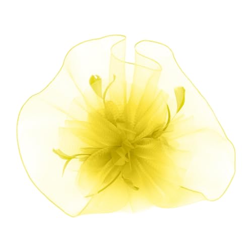 divuukyi Sichtschutz Gesichtsschleier Bequemer Kopfschmuck Professionelle Gesichtsbehandlungen Schleier Fotografie Zubehör für Unterhaltungsindustrie divuukyi Sichtschutz Gesichtsschleier Bequemer Kopfschmuck Professionelle Gesichtsbehandlungen Schleier Fotografie Zubehör für Unterhaltungsindustrie von divuukyi