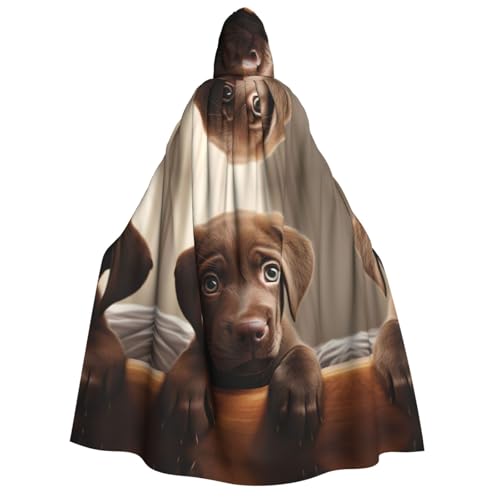 dkkuvt Niedlicher Labrador-Hund, 1 Druck, geeignet für Männer und Frauen, Halloween-Kostüm, Kapuzenumhang, Umhang für Erwachsene, Umhang von dkkuvt