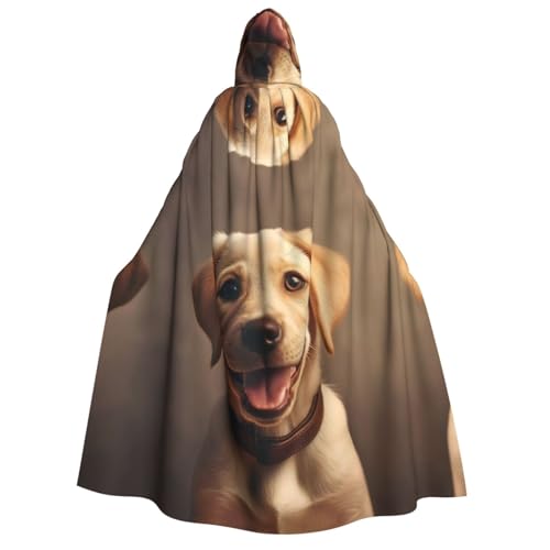 dkkuvt Niedlicher Labrador-Hunde-Druck, geeignet für Männer und Frauen, Halloween-Kostüm, Kapuzenumhang, Umhang für Erwachsene, Umhang dkkuvt Niedlicher Labrador-Hunde-Druck, geeignet für Männer und Frauen, Halloween-Kostüm, Kapuzenumhang, Umhang für Erwachsene, Umhang von dkkuvt