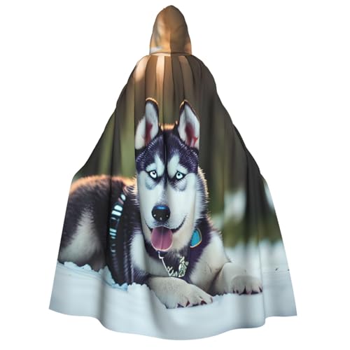 dkkuvt Umhang mit Kapuze und Husky-Hunde-Aufdruck, Halloween, Eleganz, Uni, für Cosplay, Karneval, Partys, Kostüme dkkuvt Umhang mit Kapuze und Husky-Hunde-Aufdruck, Halloween, Eleganz, Uni, für Cosplay, Karneval, Partys, Kostüme von dkkuvt