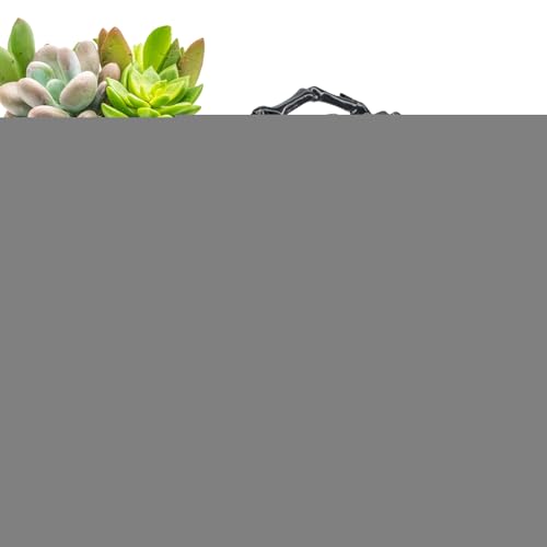 doyandader 3D-gedrucktes Spinnen-Fidget, 3D-gedruckte Gelenkspinne - 3D-gedruckte Spinnenspielzeuge mit beweglichen Gelenken - 3D bewegliche Spinne Erwachsene Fidget Toys Mystery Spider Halloween von doyandader