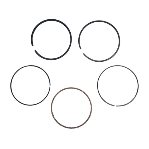 Kolbenringsatz-Kit passend for 450 RK Forge Sector Axis Massimo Supermach Hisun ATV UTV P0020001311A0000 Kolbenringsatz-Kit passend for 450 RK Forge Sector Axis Massimo Supermach Hisun ATV UTV P0020001311A0000 von eKmRFN