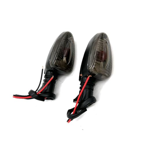 eKmRFN 1 Paar Motorrad Blinker Lig & ht Motorrad Anzeige Lampe for F650GS F800S K1300S R1200R G450X R1200GS K1200R F800ST(Smoke) von eKmRFN