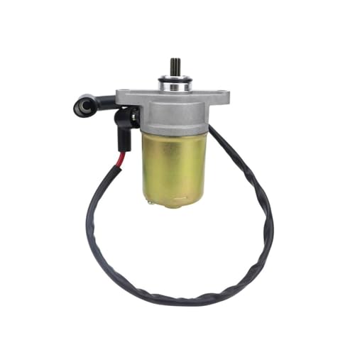 eKmRFN 10 Zähne Starter Motor for GY6 49cc 50cc Roller 139QMB Moped ATV Go Karts TAOTAO SUNL ROKETA Baja von eKmRFN