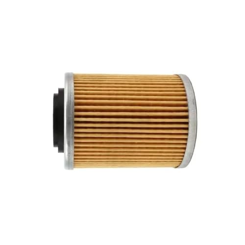 eKmRFN 2 PCS Paket Filter 0800-011300-0004 for CF Moto ATV 450CC 550CC 800CC 1000CC Teil von eKmRFN