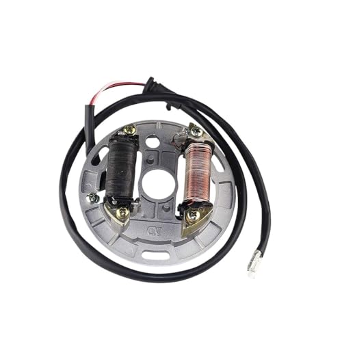 eKmRFN 21003-S005 Motorrad-Zündspule Mag-net Statorplatte for Suz-uk LT80 Quadsport LT 80 1987-2006 Kawa-sak KFX80 2003-2006 von eKmRFN