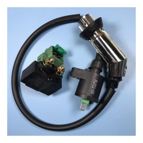eKmRFN CH250 CF250 250CC Zündspule Und for 250CC Roller Moped ATV Teile von eKmRFN