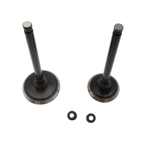 eKmRFN Einlass-/auslassventildichtungssatz for Hisun Forge 400 450 500 550 Loncin 400 450 500 14711-002-0000 14721-002-0000 91225-002-0000 eKmRFN Einlass-/auslassventildichtungssatz for Hisun Forge 400 450 500 550 Loncin 400 450 500 14711-002-0000 14721-002-0000 91225-002-0000 von eKmRFN