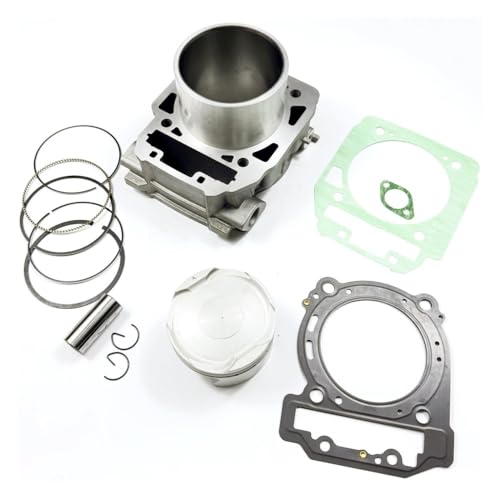 eKmRFN Hinten Zylinder Kit for Can-Am BRP Kommandant Maverick Outlander Renegade 1000 1000R Defender HD10 420623567 420623568 420623564 von eKmRFN