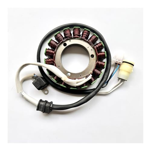 eKmRFN Hisun ATV 700 500 Quad Stator Magnet HS500ATV UTV HS500UTV HS700UTV Teile 31120-004-0000 31100-F39-004-0000 von eKmRFN