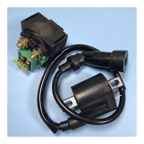 eKmRFN JS250 250 ATV Quad Zündspule Und for Jianshe 250CC Puma 250-3A ATV Teile von eKmRFN