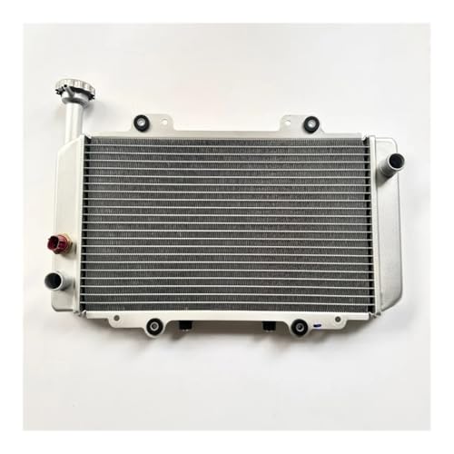 eKmRFN Kühlerwasser for Hisun Massimo MSU400 H400UTV HS400UTV-2 400 UTV Side by Side Col-ema Outfiter 19200-112C-0000 von eKmRFN