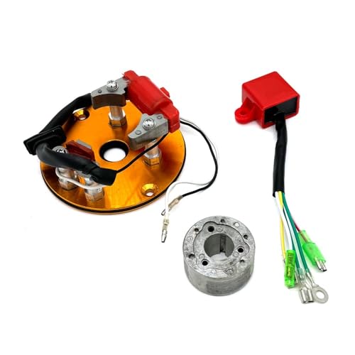 eKmRFN Motorrad Magnetspule Innerer Rotor Stator Kit for LF YX 50/110/125/150/160cc Roller Go Kart ATV Quad Moto Horizontale Motor(Gold) von eKmRFN