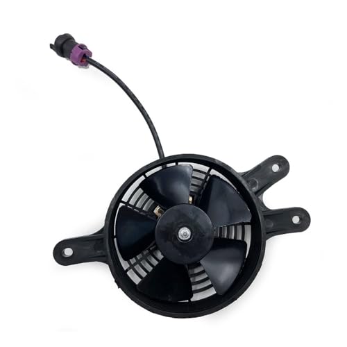 eKmRFN Motorrad Teile Kühler Lüfter for Linhai 260 300 400 ATV Quad 400cc LH300 LH400 Linhai400(Model B) von eKmRFN