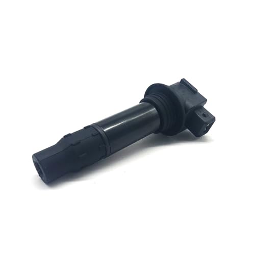 eKmRFN Motorrad Zündspule for CFmoto CF250NK CF250SR CF250-6 250KN 250SR CF250 CF Moto 250-6 Zubehör CF 250 NK ODMO-178000 von eKmRFN