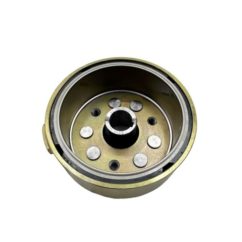eKmRFN Neuer Magnetschwungradrotor for Jianshe 250 Roketa 250cc JS250 ATV Quad FG-841000-0 JS250ATV-5 FG8410000 eKmRFN Neuer Magnetschwungradrotor for Jianshe 250 Roketa 250cc JS250 ATV Quad FG-841000-0 JS250ATV-5 FG8410000 von eKmRFN