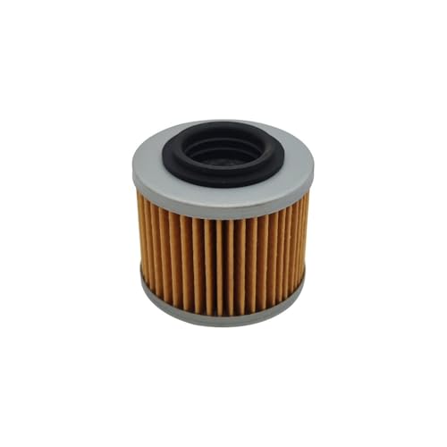 eKmRFN Ölfilter passend for BRP DS650 Racer 644 2000 OEM 711256185 711256186(2PCS) von eKmRFN