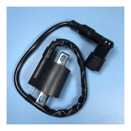 eKmRFN PW 50 PW50 Zündspule mit Zündkerzenkopf for Y-am-ah PW50 Dirt Bike 1981-2009 von eKmRFN