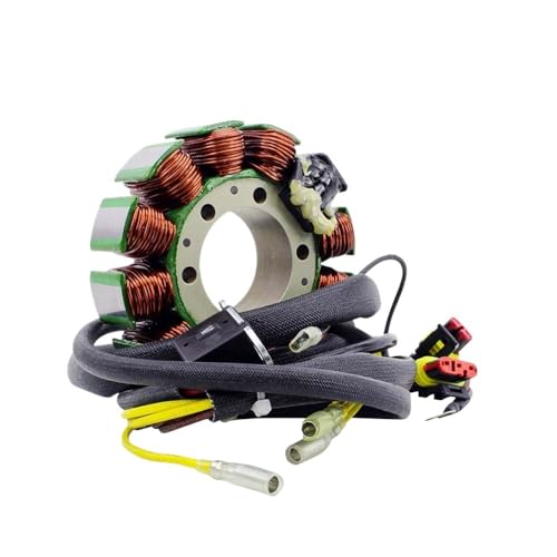 eKmRFN Stator Spule Fit for Polaris Sportsman 600 2003-2005 700 4x4 Carb 2002-2005 ATV 2202602 2202603 4010709 4011103 4060150 4010901 von eKmRFN