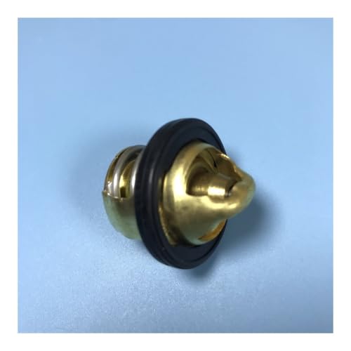 eKmRFN Thermostatkomponente for 172 MM 157MJ ATV250 Roller CF250 Ho-nd CH250 CN250 CH125 CH150 Y-am-ah Majesty YP250 LINHAI VOG von eKmRFN