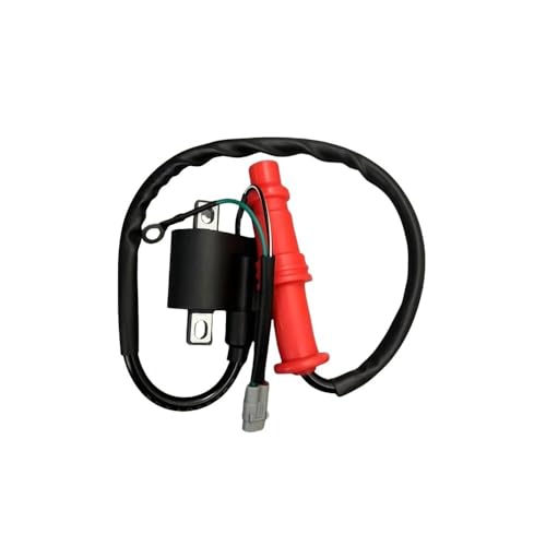eKmRFN Zündspule C500-3705000 for KAZUMA ATV JAGUAR500 von eKmRFN
