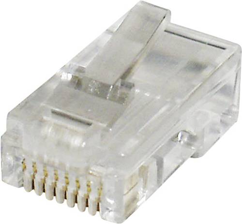 Econ Connect MPL88 Modular-Stecker MPL88 Stecker, gerade Polzahl 8P8C Klar von econ Connect