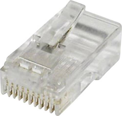 Econ Connect MPL10/10R Modular-Stecker MPL10/10R Stecker, gerade Pole: 10 Klar von econ Connect