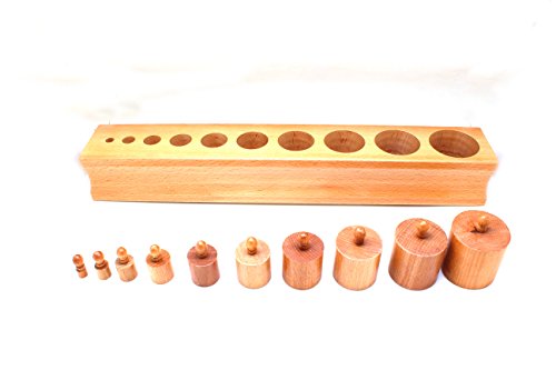 edu fun 91106 Montessori Zylinderblöcke Holz Zylinder pädagogisches Lernspielzeug ab 3 Jahre Durchmesser gleich und Höhe unterschiedlich Holzspielzeug Massivholz (Variante 1) von edu fun
