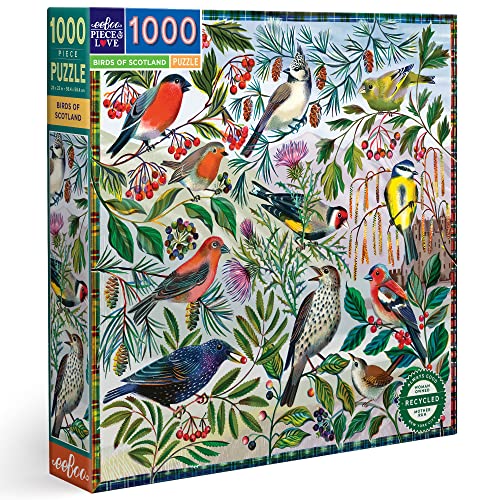 eeBoo 1000 Teile – Die Vögel von Schottland – faszinierendes recyceltem Karton – hochwertiges Puzzle für Erwachsene – PZTBDS eeBoo 1000 Teile – Die Vögel von Schottland – faszinierendes recyceltem Karton – hochwertiges Puzzle für Erwachsene – PZTBDS von eeBoo