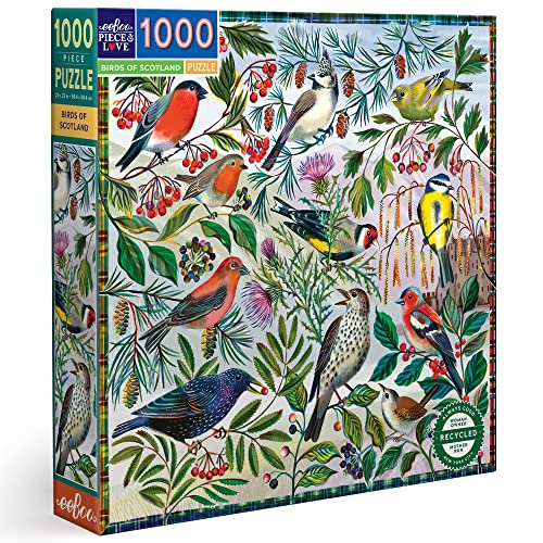 eeBoo 1000 Teile – Die Vögel von Schottland – faszinierendes recyceltem Karton – hochwertiges Puzzle für Erwachsene – PZTBDS von eeBoo