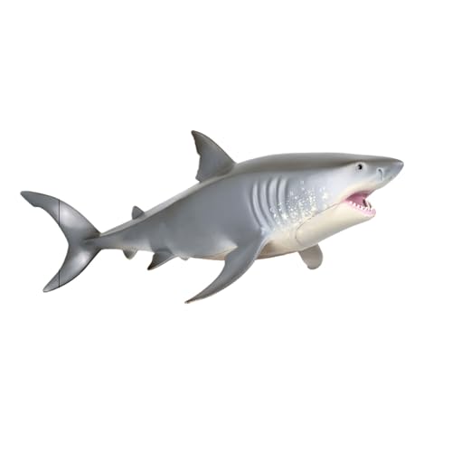 eexuujkl Marine lebensechte Modell Erwachsene Hai Spielzeug Vorschule Marine Modelle Simulation lebensechte Tier Spielzeit Tier Tierspielzeug, HAI eexuujkl Marine lebensechte Modell Erwachsene Hai Spielzeug Vorschule Marine Modelle Simulation lebensechte Tier Spielzeit Tier Tierspielzeug, HAI von eexuujkl