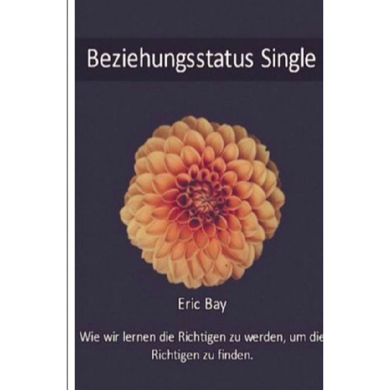 Beziehungsstatus Single von epubli