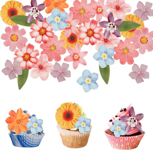 Bunt Blumen für Tortendeko Essbare,Tortendeko Essbar Blumen Essbare Blüten Cupcake Topper Schmetterlinge Esspapier Blüten Kuchen Deko Hochzeit Esspapier Tortendekos Cupcake, 50St Bunt Blumen für Tortendeko Essbare,Tortendeko Essbar Blumen Essbare Blüten Cupcake Topper Schmetterlinge Esspapier Blüten Kuchen Deko Hochzeit Esspapier Tortendekos Cupcake, 50St von ertlutw