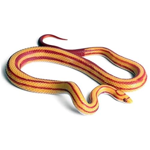 eurNhrN Realistischer Gummi -Korn -Maisschlangenspielzeug für Gartenrequisiten und praktische Witz All Saints Day Decor von eurNhrN