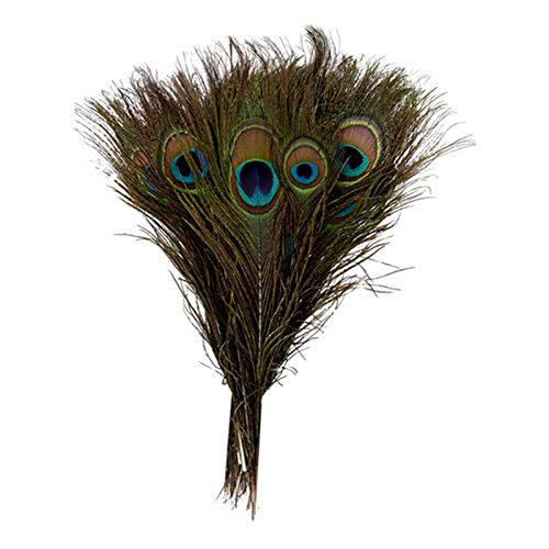 eyYvxmep Packung mit 50 Stueck Natuerliche Pfau-Federn 10-12 '' von eyYvxmep