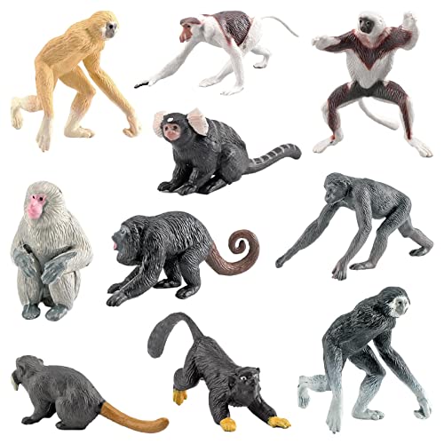 10 Stück Dschungeltiere Affenspielzeug, Actionfiguren, Dschungeltiere Affenspielzeugset, Affenspielzeugfiguren, Schimpanse Mandrill Gibbons Affenfigur Realistische Langschwanzaffe-Modelldekoration 10 Stück Dschungeltiere Affenspielzeug, Actionfiguren, Dschungeltiere Affenspielzeugset, Affenspielzeugfiguren, Schimpanse Mandrill Gibbons Affenfigur Realistische Langschwanzaffe-Modelldekoration von fanelod